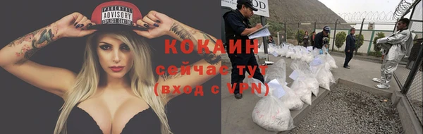дживик Зеленокумск