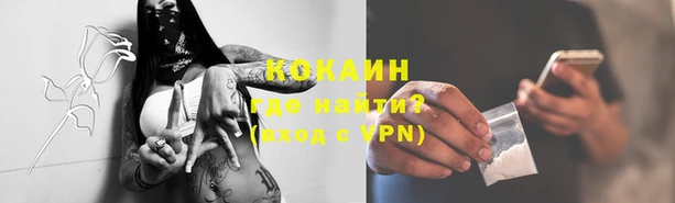 дживик Зеленокумск