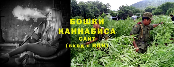 шишки Зерноград