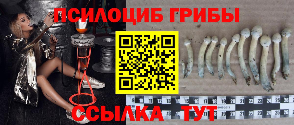 Псилоцибиновые грибы Magic Shrooms  Вход с VPN  Псилоцибиновые грибы прущие грибы  Кандалакша 