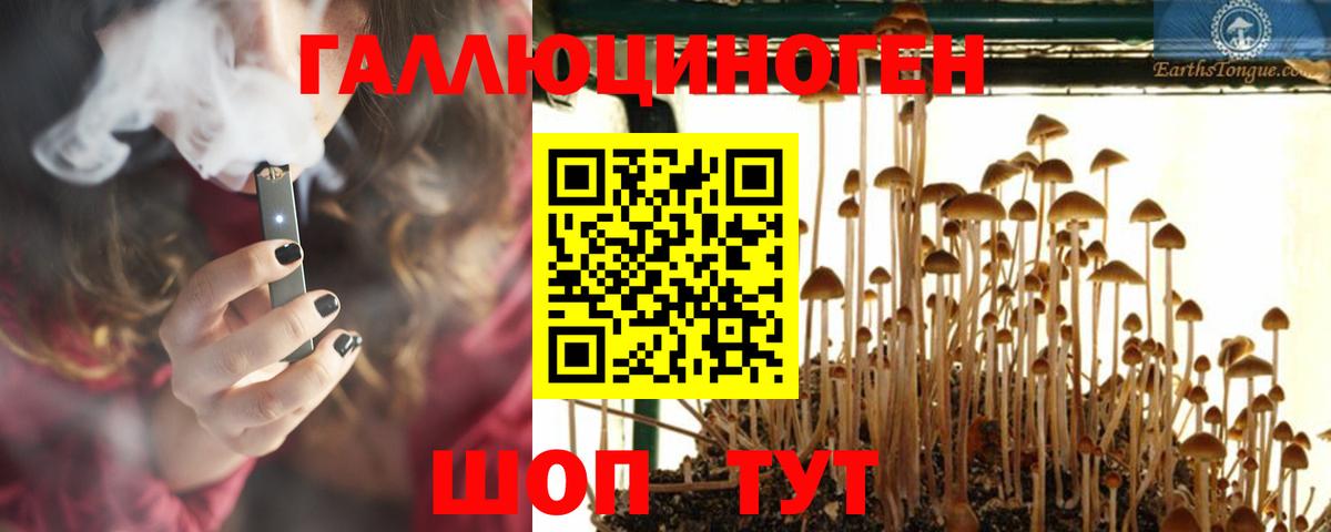 Галлюциногенные грибы мицелий Кандалакша